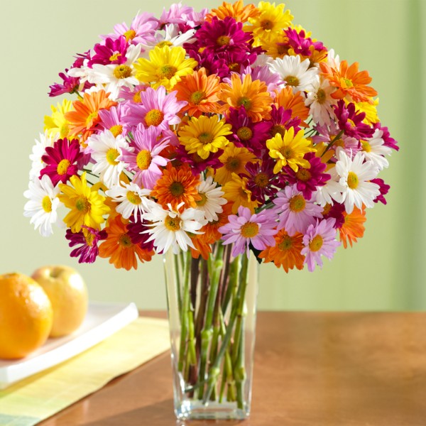 Gerbera Daisies Daisy Flower Arrangements Delivered