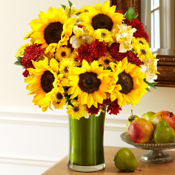 Send Alstroemerias Alstroemerias Delivered at ProFlowers