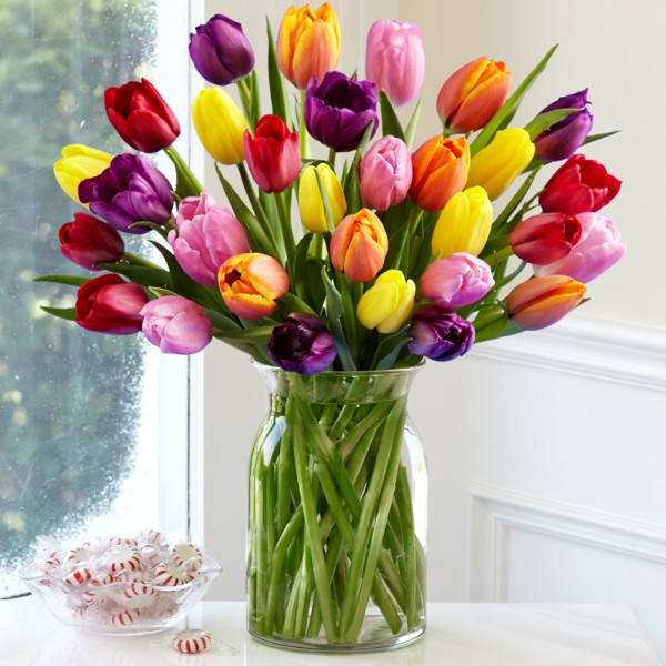 30 MultiColored Tulips