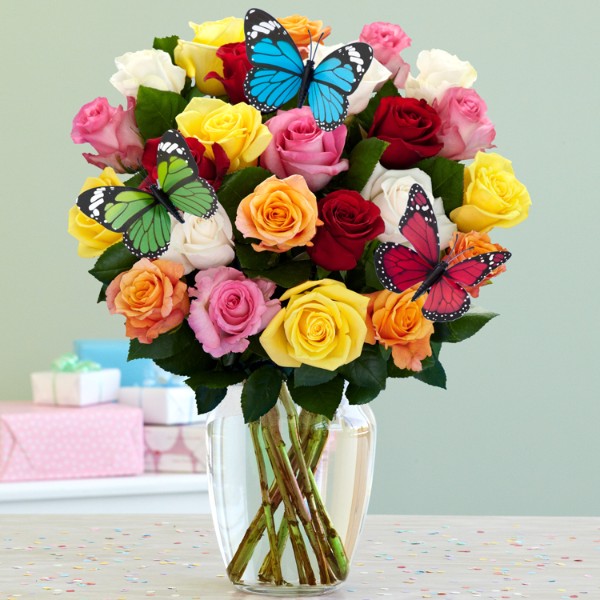 Birthday Gift Ideas Order Online for Next Day Delivery