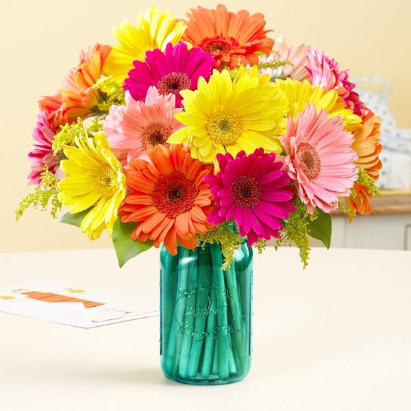 Colorful Birthday Daisies