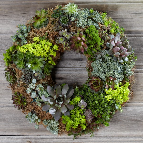 Flowers & Gifts for Delivery Send Flowers from ProFlowers