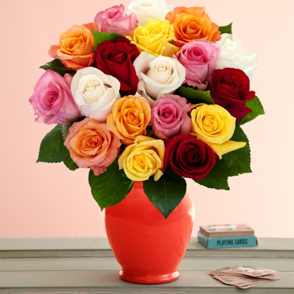 Buy Rose Plants Online at ProFlowers